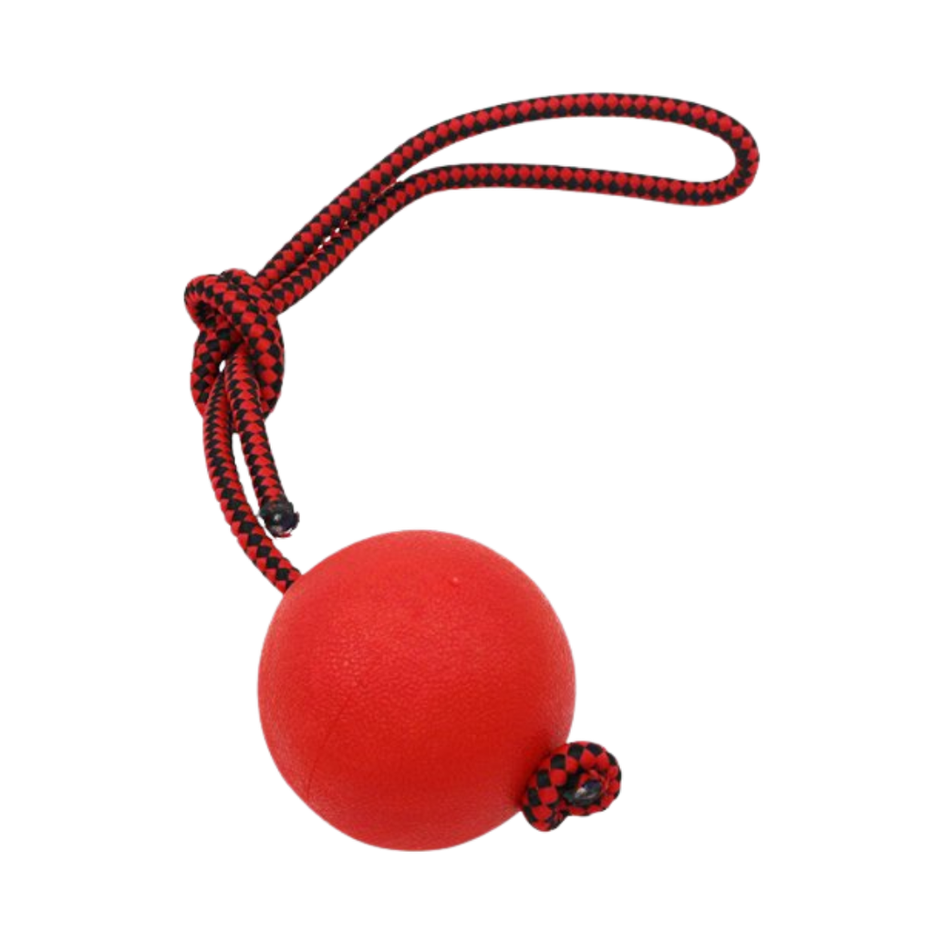 [MS120029] pelota, plástico, surtido, 5 centimetros, con cuerda para juego