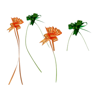 set de 10 moñas automaticas, celoseda, surtido, 1.1*21 centimetros,