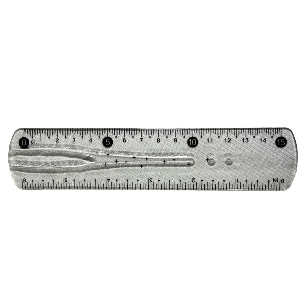 [E389194] reglas, plástico, transparente, 15*3.8 centimetros, flexible