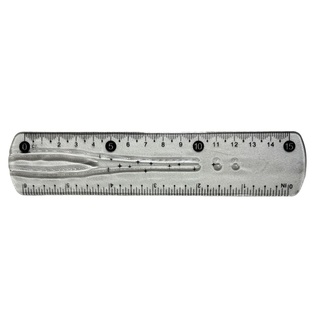 reglas, plástico, transparente, 15*3.8 centimetros, flexible