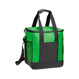Hielera Poliester Y Aluminio verde 30*20.5*34 cm